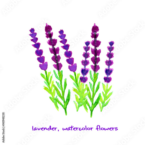 Watercolor lavender collection