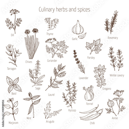 Set of culinary herbs and spices