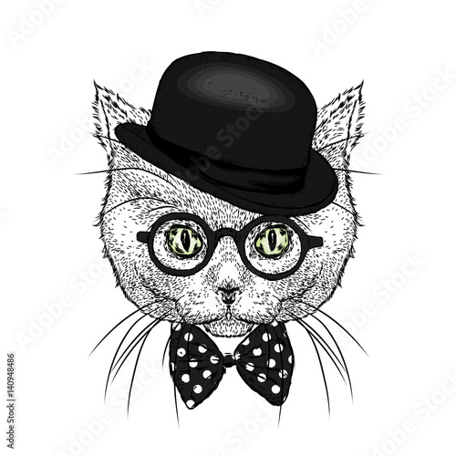 A beautiful cat with a hat, glasses and a tie. Vector illustration.