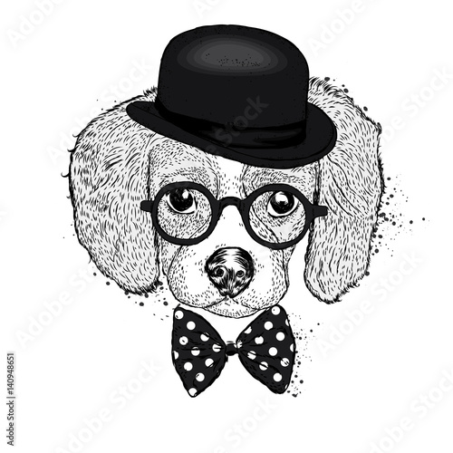 Funny puppy in a hat and a butterfly. Vector illustration. Beautiful dog.
