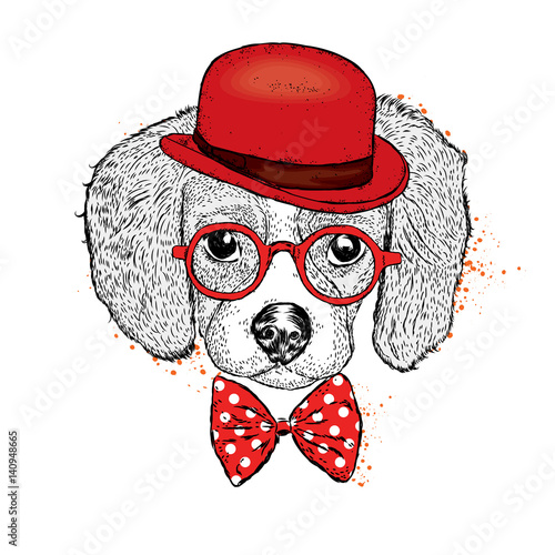Funny puppy in a hat and a butterfly. Vector illustration. Beautiful dog.
