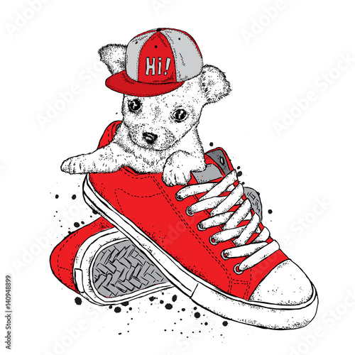 A cute puppy in a cap sits in sneakers. Vector illustration. Beautiful dog.
