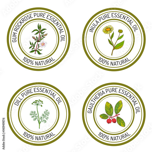 Set of essential oil labels gum rockrose, inula, dill, gaulther