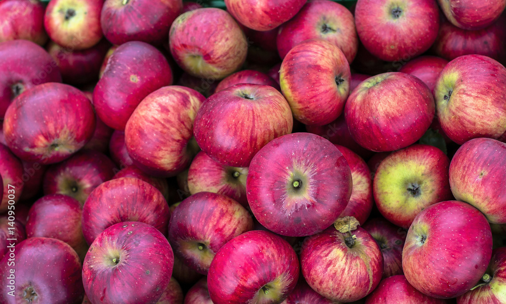 apples. organic apples in the green box apples. organic apples in the green box