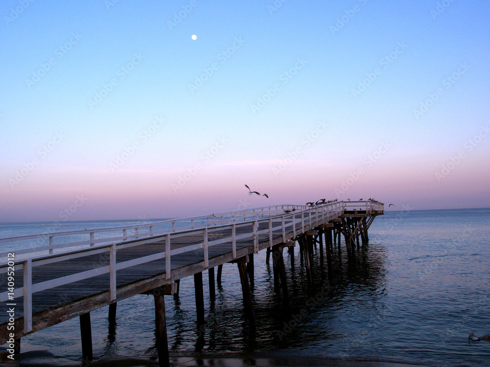 Obraz premium OLYMPUS DIGITAL CAMERA