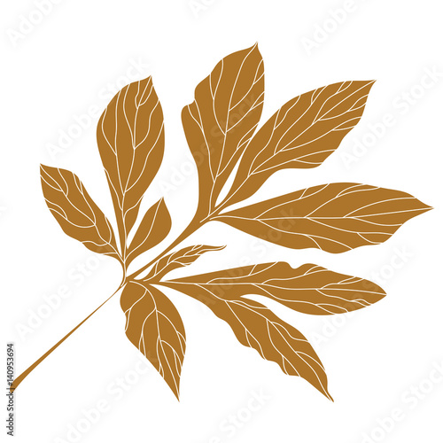 Golden graphical branch and leaves of plants. Palm leaves isolated on white background. Vector
