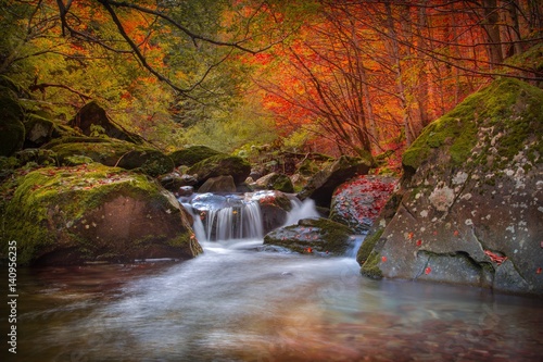 Bologna, Emilia Romagna, Italy. Dardagna river during a very colorful autumn photo