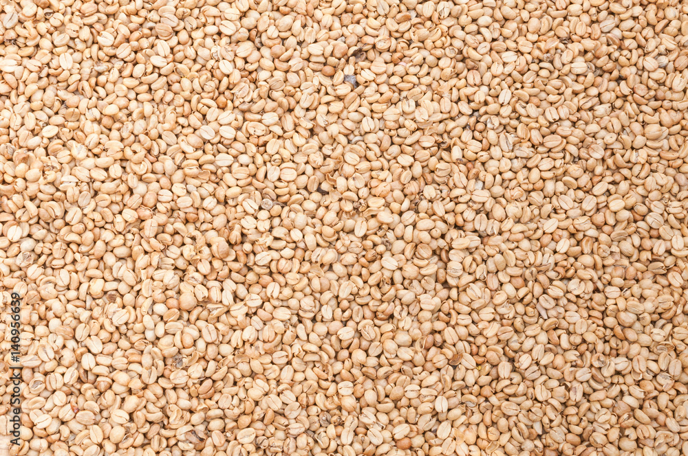 raw and roasted coffee beans for background raw and roasted coffee beans for background