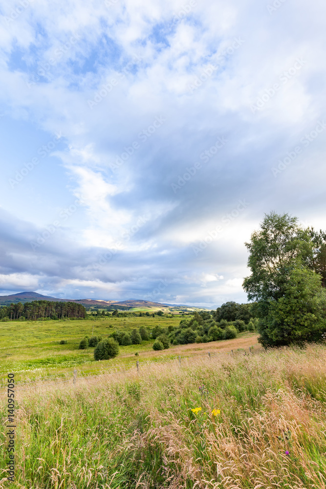 Portrait view of a field south of Inverness, Scotland in late afternoon in Summer.