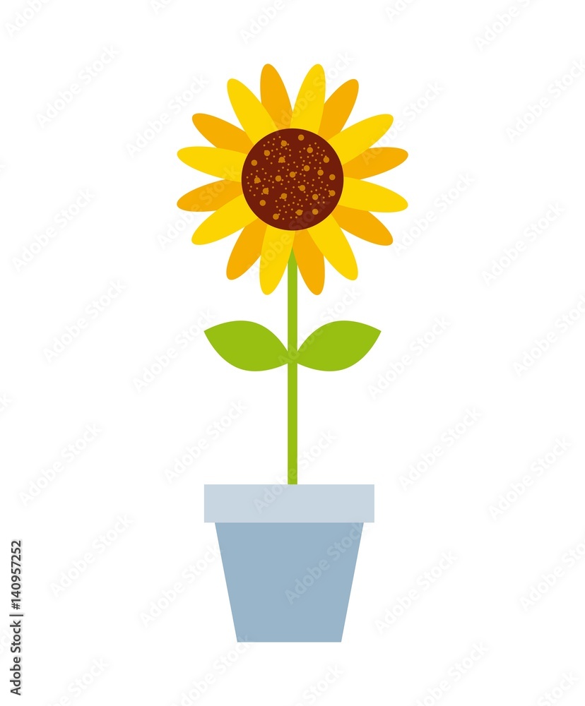 Obraz premium beautiful flowers in a pot over white background. colorful design. vector illustration