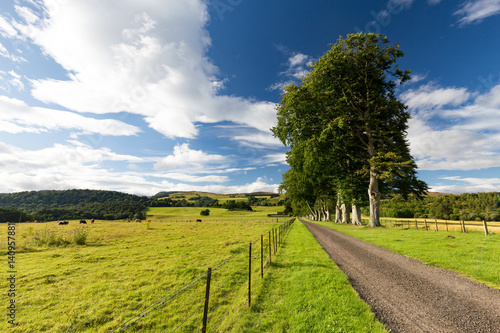 A road leads into the distance near farmland outside of Crieff in Scotland.