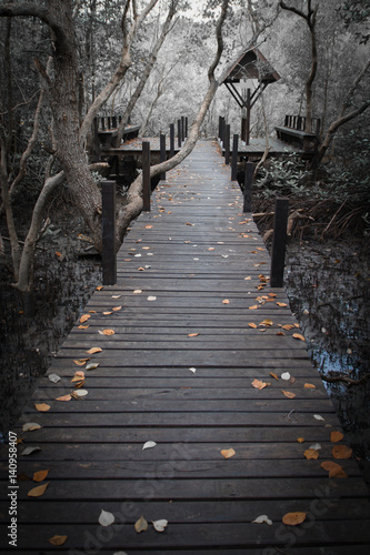 Wooden bridge in the autumn forest © siam4510