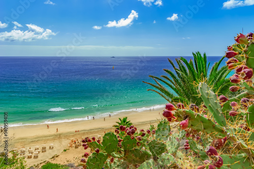 Strand von Esquinzo, Fuerteventura, kanarische Inseln, (Kanaren, Spanien)  photo