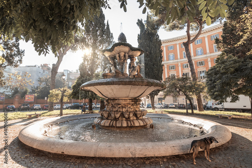 Photography old fountain rome