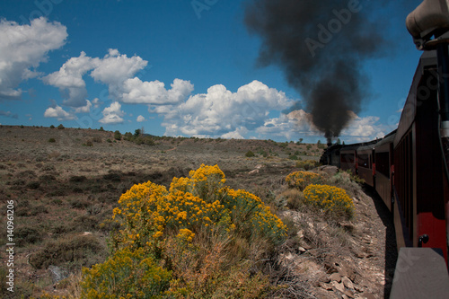 Wildflowers Growing Along Cumbres Toltec Scenic Railway
