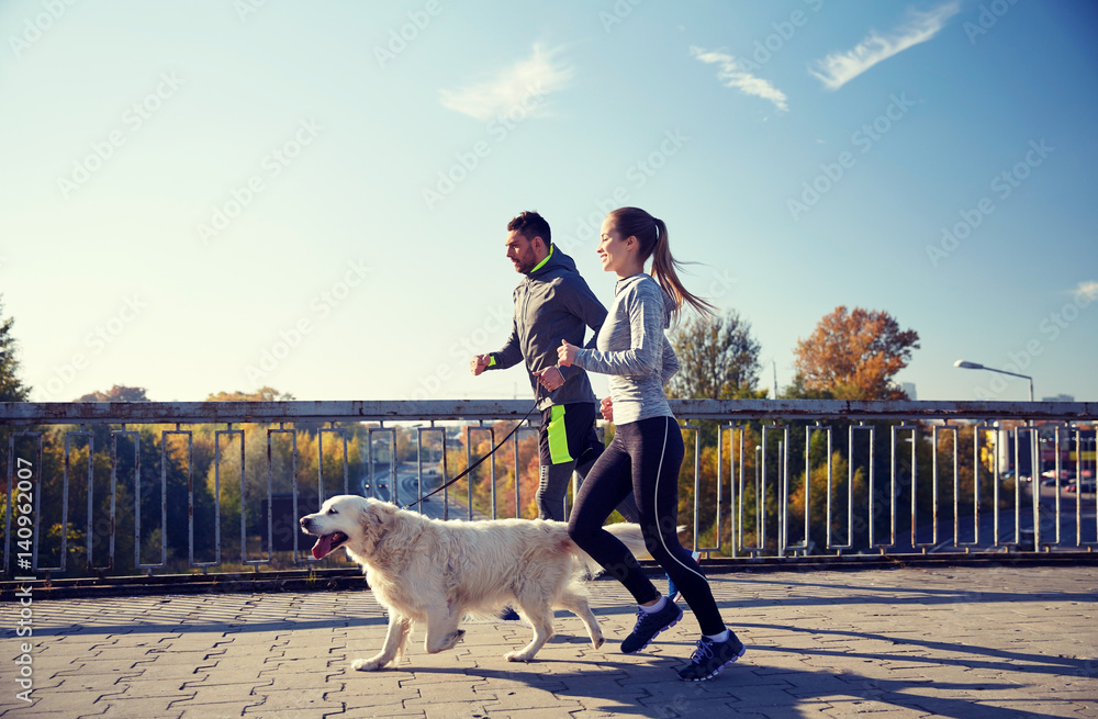 © Syda Productions - happy couple with dog running outdoors