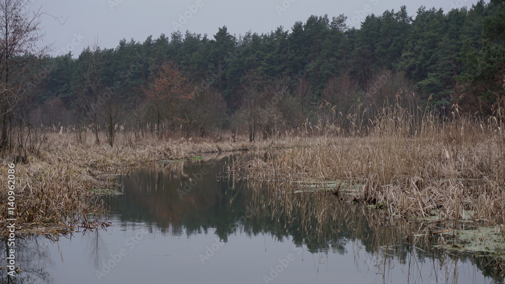 river in spring