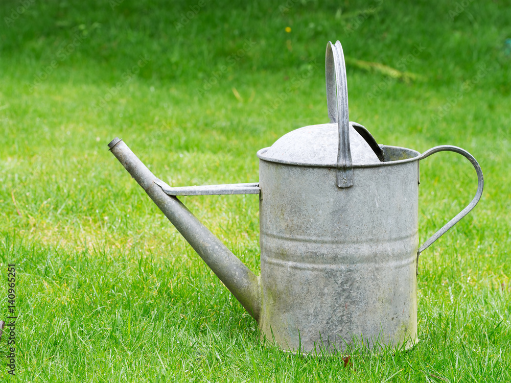 Old galvanized watering can on green lawn. Old galvanized watering can on green lawn.