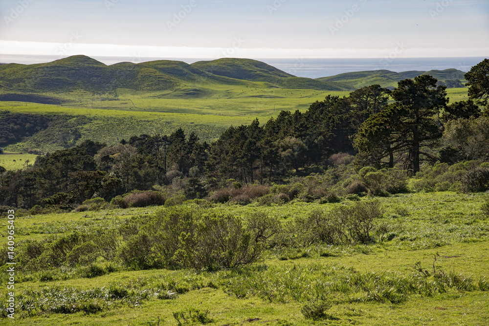 Obraz premium Point Reyes National Seashore, California