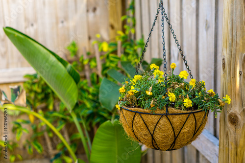 Hanging Basket of Yellow Flowers