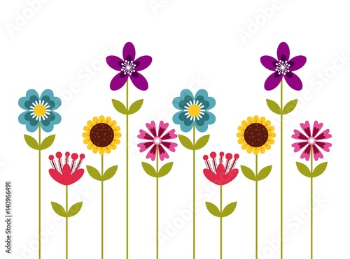 beautiful flowers over white background. colorful design. vector illustration