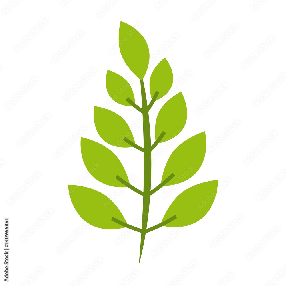 stem with leaves over white background. colorful design. vector illustration stem with leaves over white background. colorful design. vector illustration