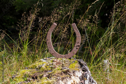 Lucky horse shoe