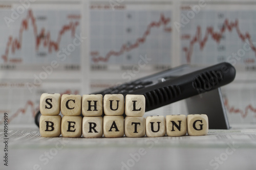 Schulberatung photo