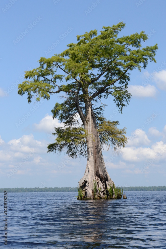 Lake Drummond 3