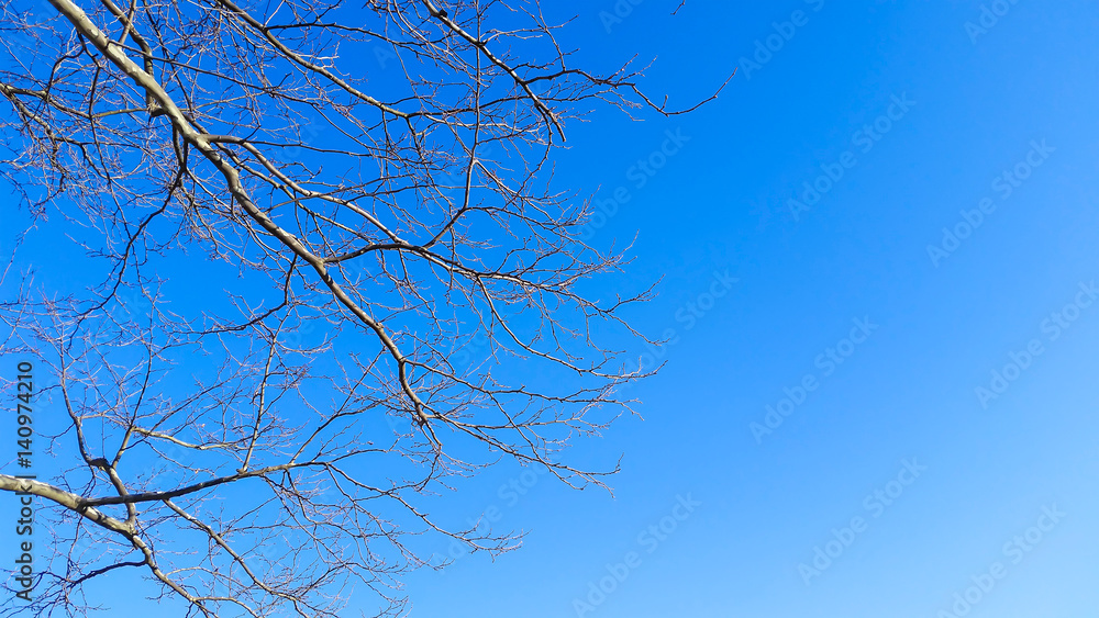 Obraz premium Blue Sky