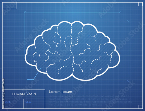 Human brain on a blueprint vector illustration
