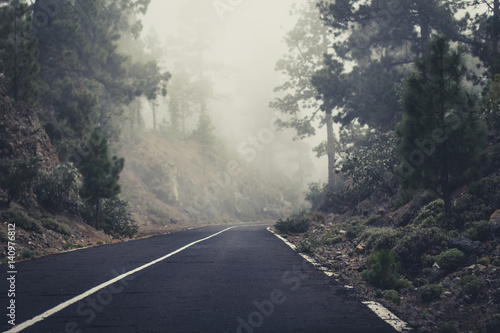 empty road in foggy forest landscape -