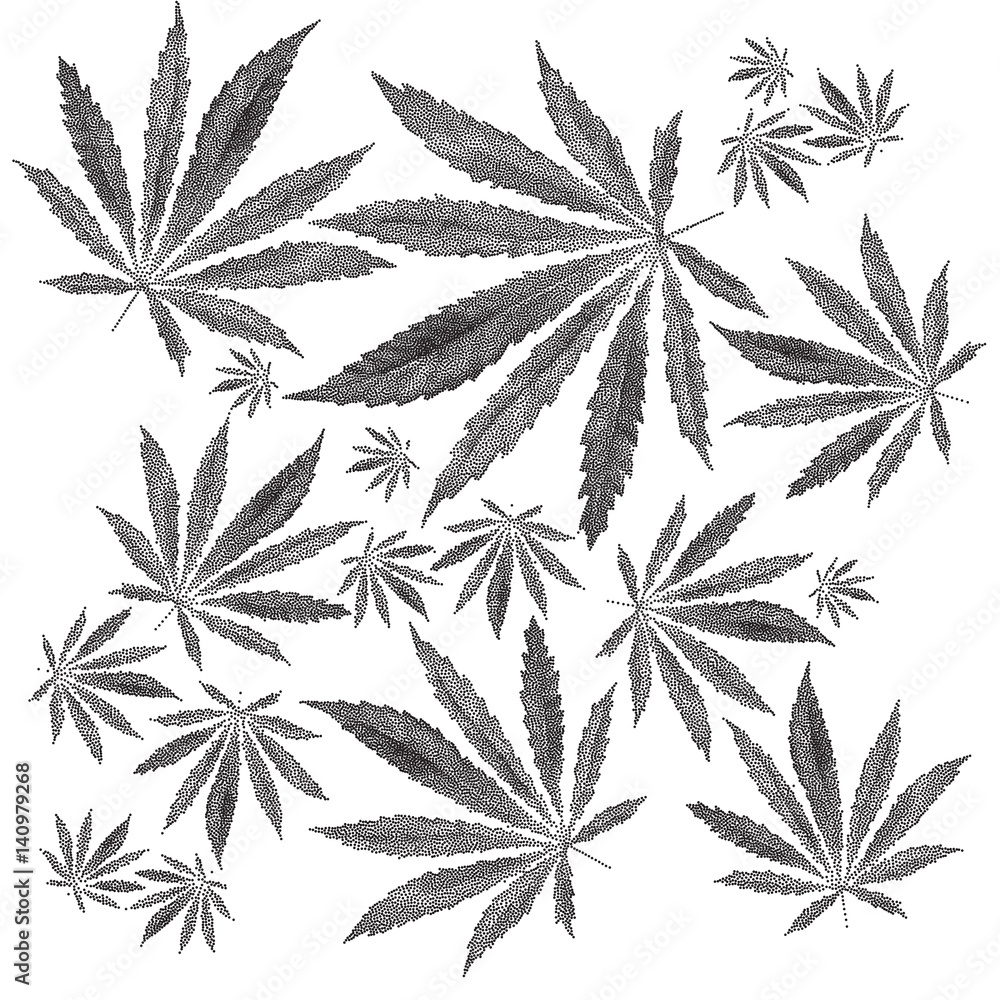 Vector illustration of dotted Cannabis sativa leaf