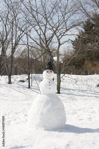A snowman