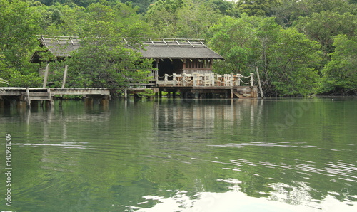 Forest Natural near Rivers