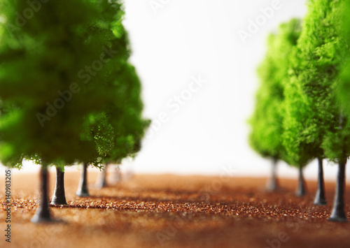 Rows of miniature trees