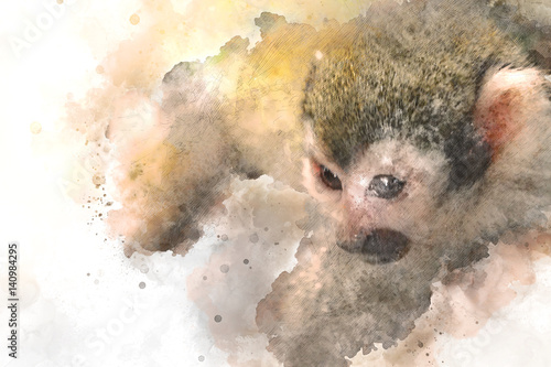 Photography Monkey sleep on watercolor background, Watercolor painting, Monkey