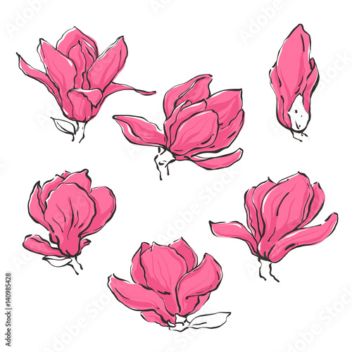 Set of hand drawn sketchy vector magnolia flowers