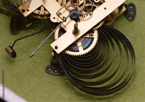 Obraz na plátně Hairspring