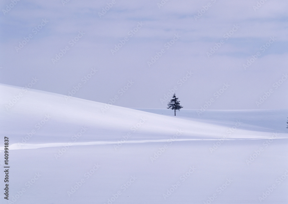 Snowy Field