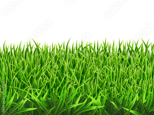 Grass on a meadow, realistic vector. Foreground for nature illustration. Each row of grass in a separate layer. Gradient mesh tool.