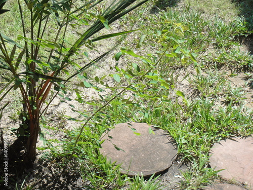 Decorative rock garden