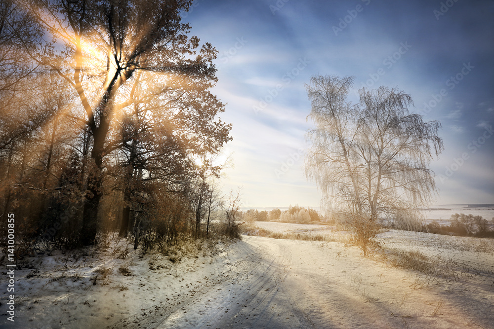  winter landscape