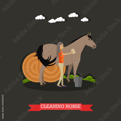 Cleaning horse vector illustration in flat style