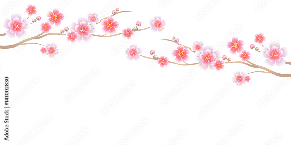 Branches of Sakura isolated on white background. Apple-tree flowers. Cherry blossom. Vector
Branches of Sakura isolated on white background. Apple-tree flowers. Cherry blossom. Vector