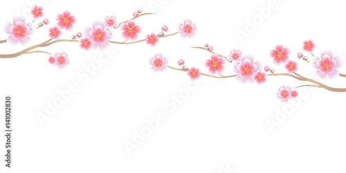 Branches of Sakura isolated on white background. Apple-tree flowers. Cherry blossom. Vector 
