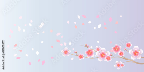 Branch of Sakura and petals flying isolated on light violet background. Apple-tree flowers. Cherry blossom. Vector 