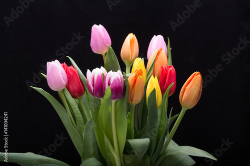 Fototapeta Naklejka Na Ścianę i Meble -  colorful bouquet of fresh spring tulip flowers