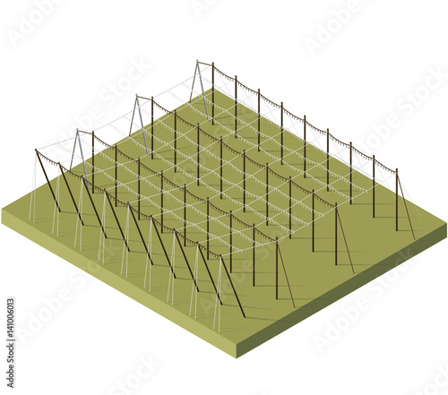 Hopgarden landscape in spring in isometric view. Construction of beams and wires for growing hops. Agriculture landscape with husbandry industry. Hop garden care constructions in rows on farm field.