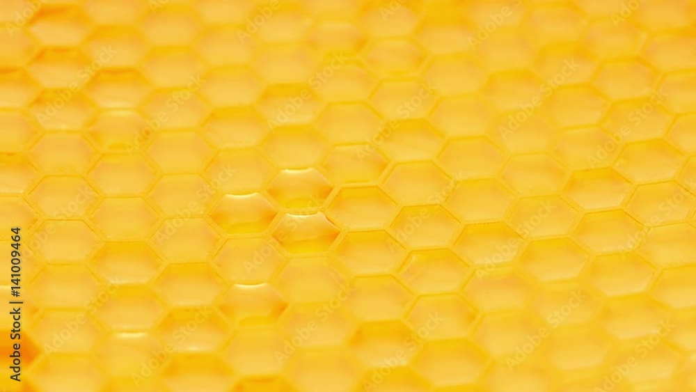 Honey comb. Fragment of honeycomb plastic imitation. Honey comb. Fragment of honeycomb plastic imitation.